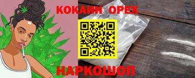 стафф Донской