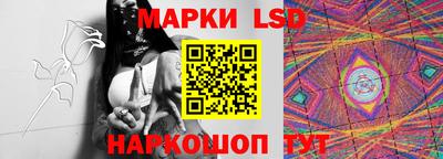 крисы Дубна