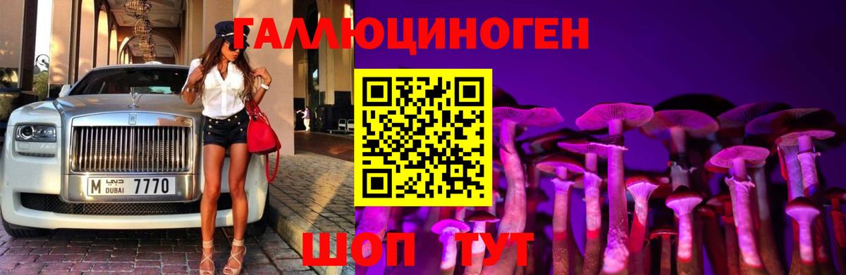 Галлюциногенные грибы Psilocybine cubensis  Вход с VPN  Изобильный 